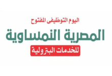 الشركة المصرية النمساوية