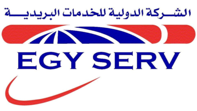 الشركة الدولية للخدمات البريدية Egyserv